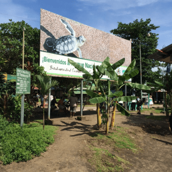 Tortuguero